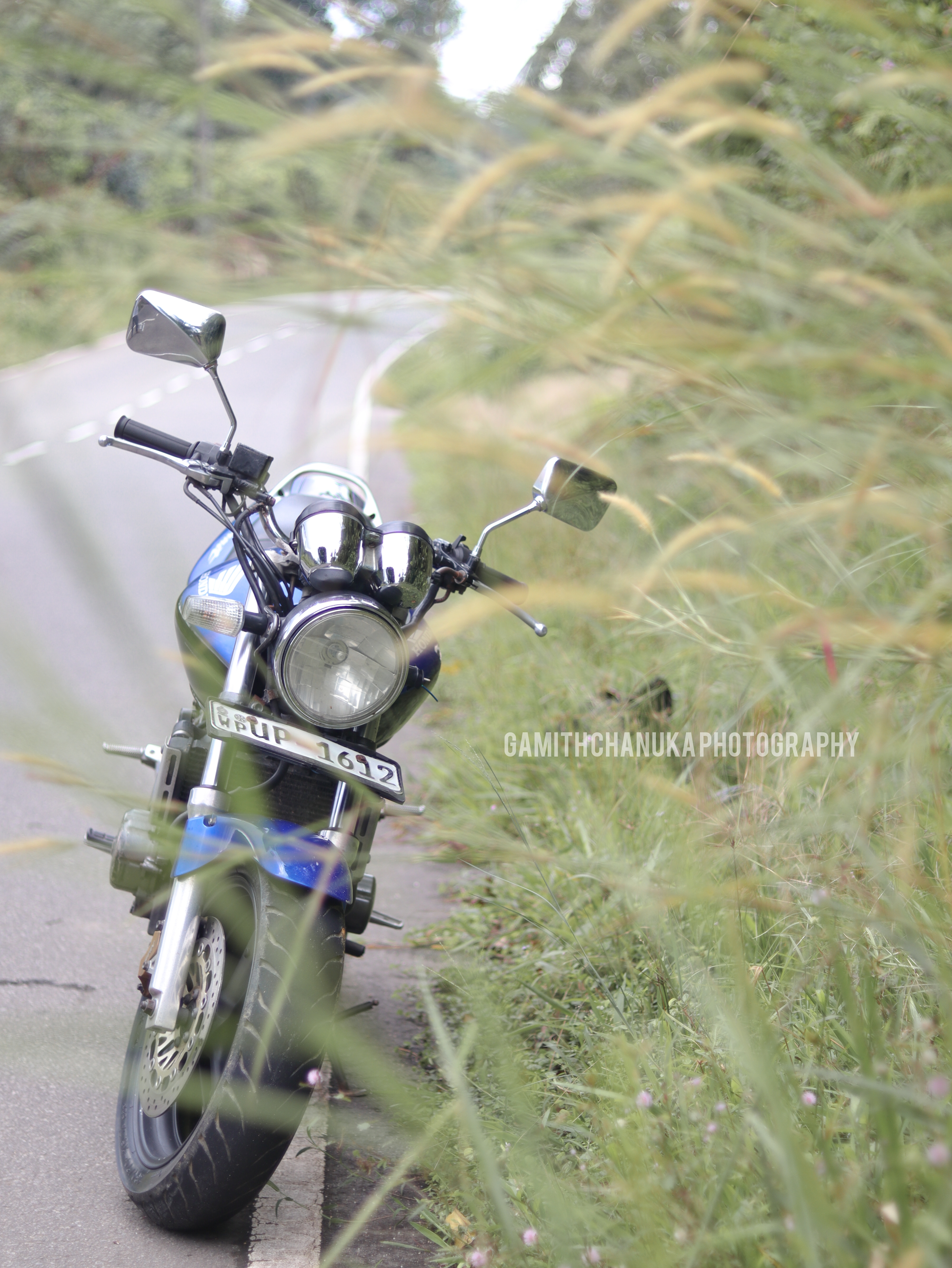 Showcasing Automotive Elegance