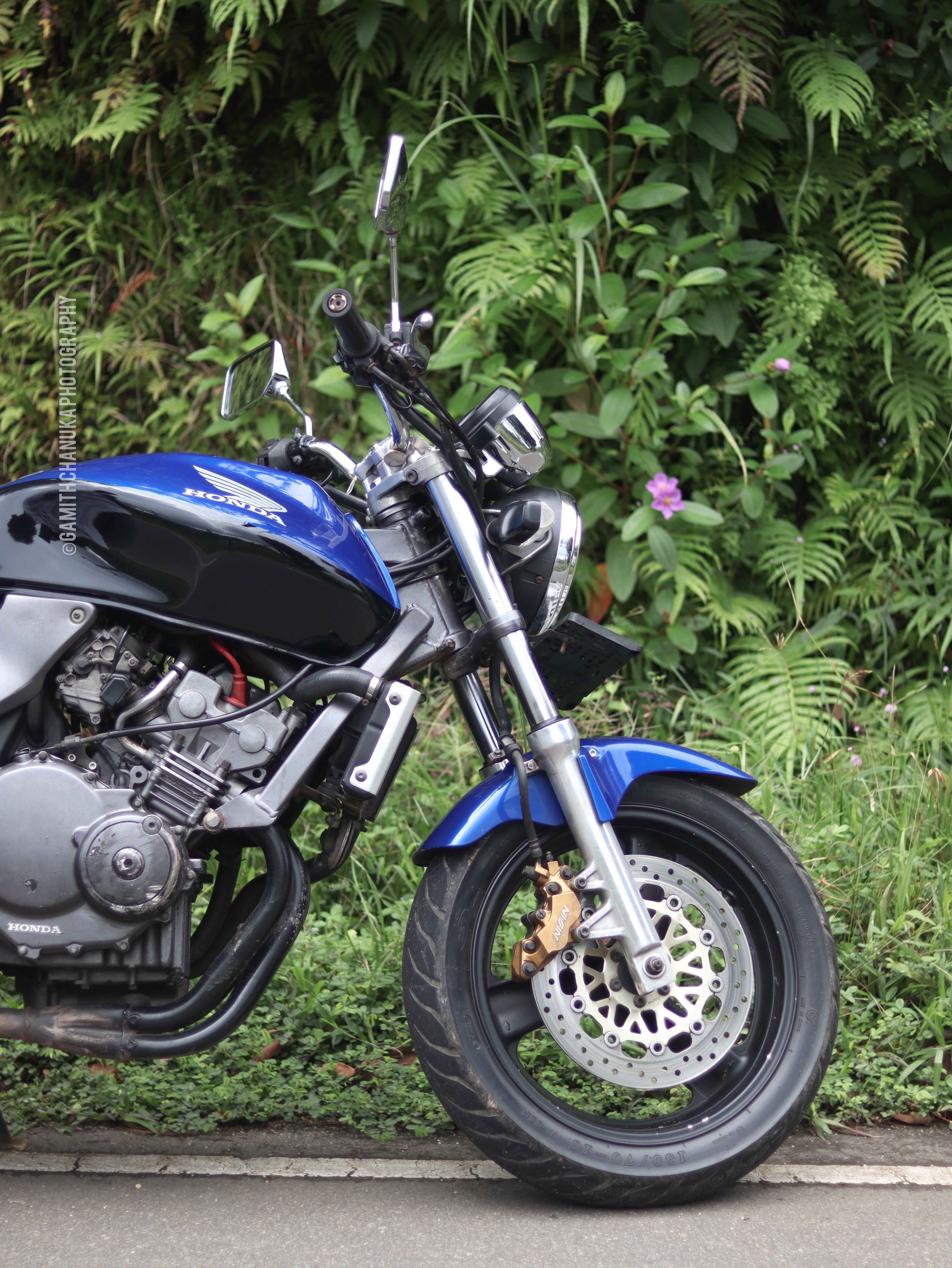 Showcasing Automotive Elegance