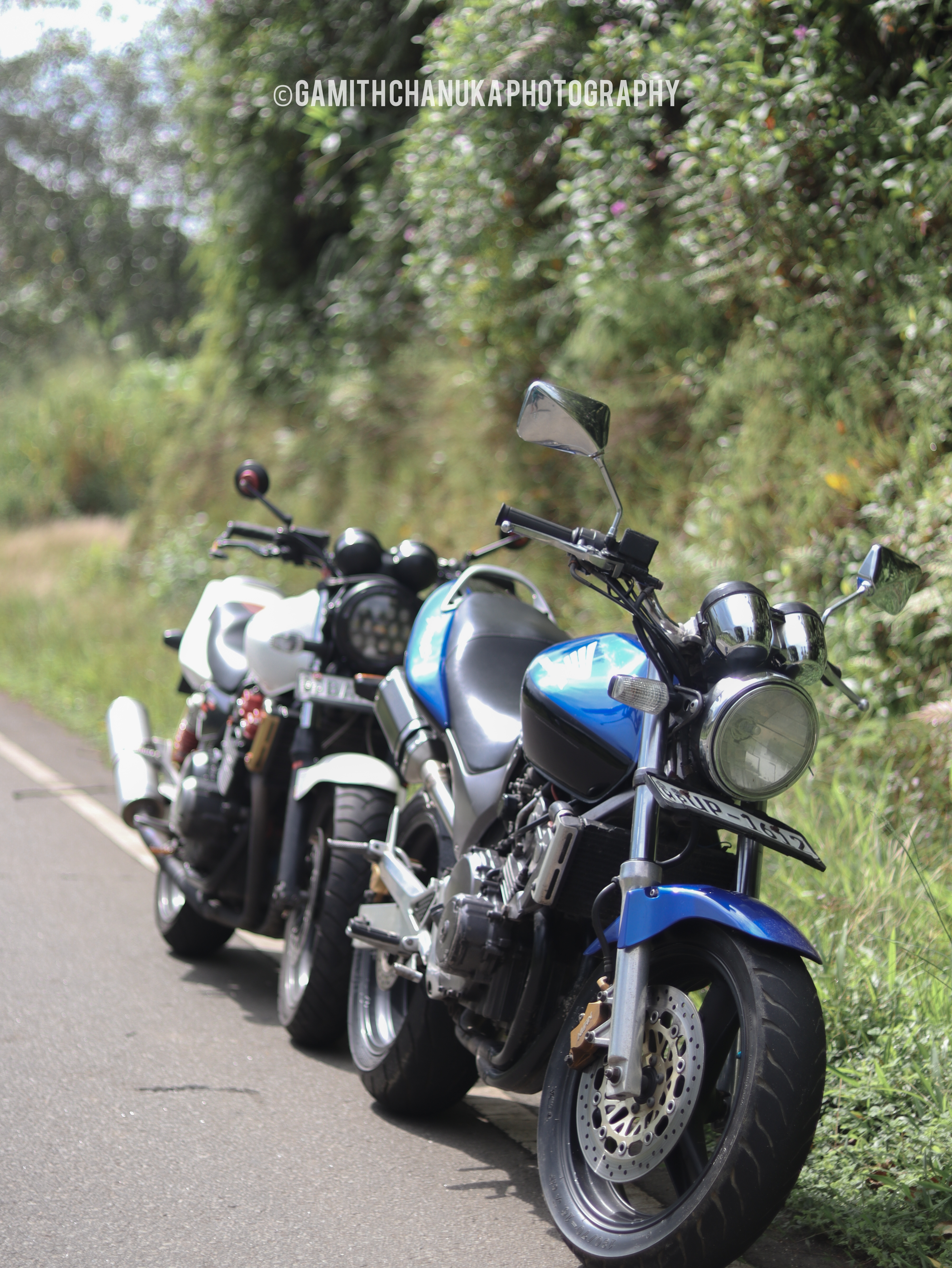 Showcasing Automotive Elegance