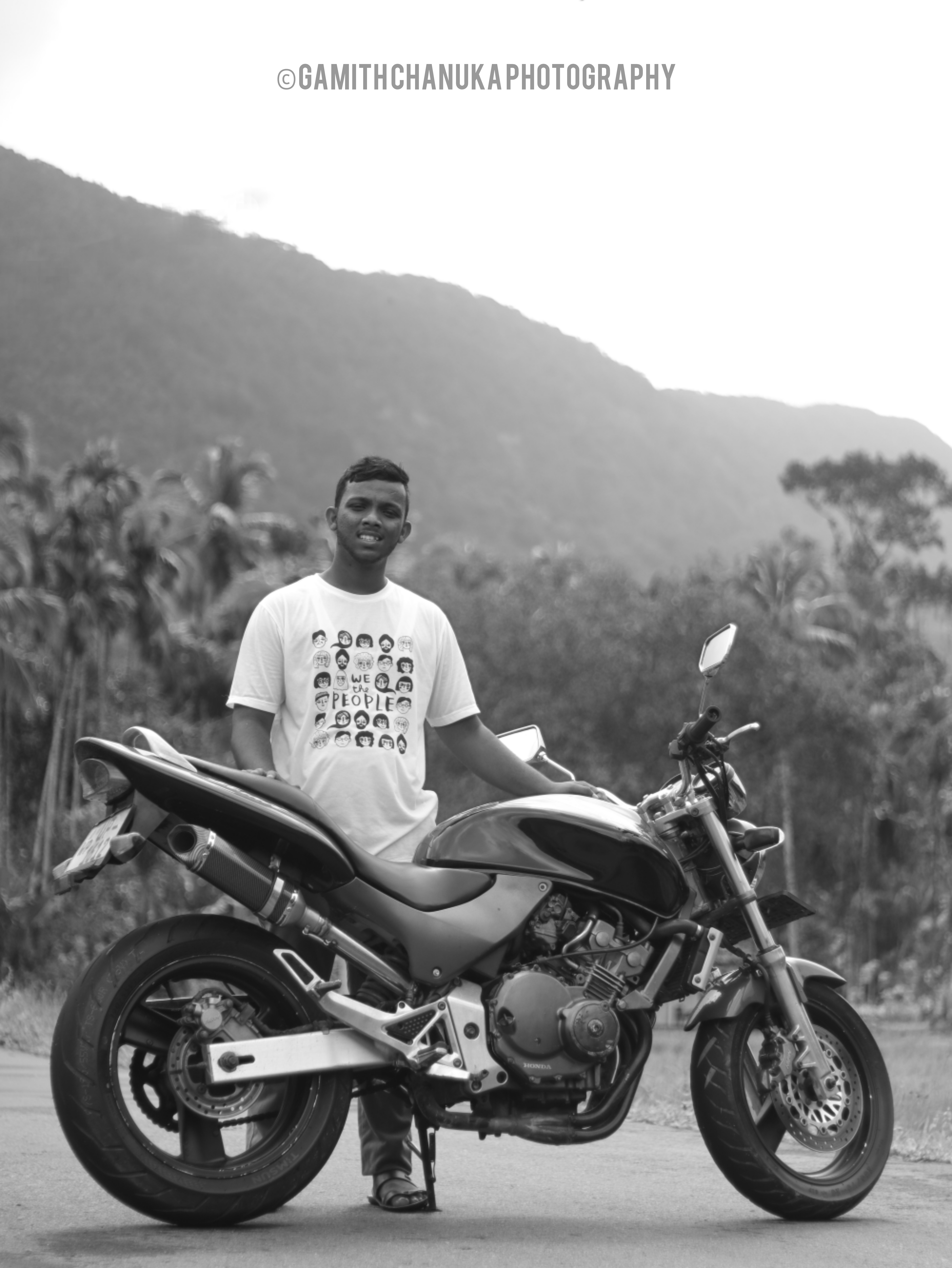 Showcasing Automotive Elegance