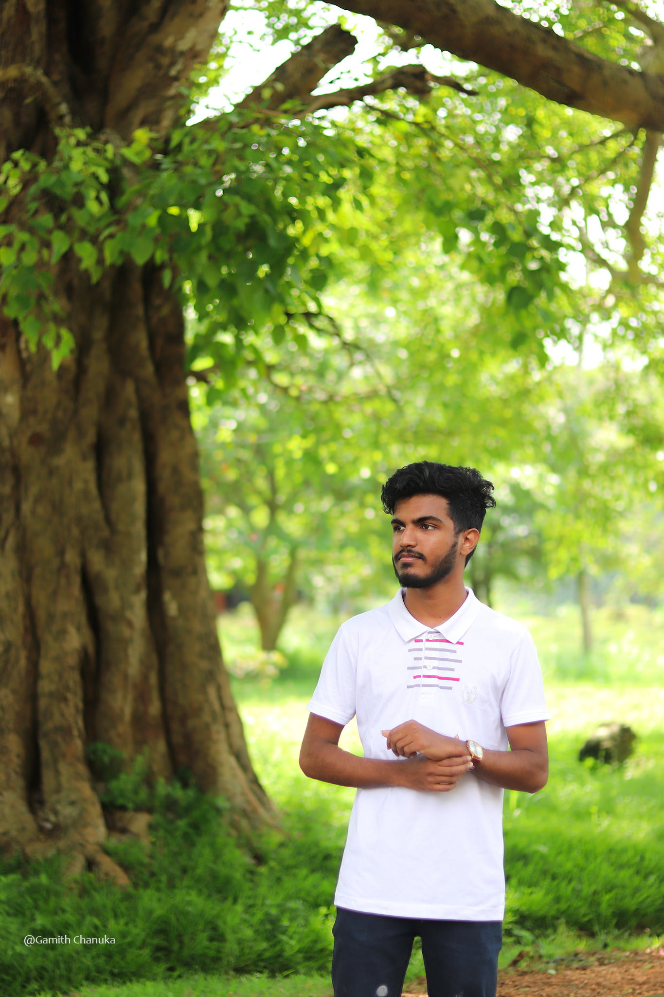 Expressing Human Emotions