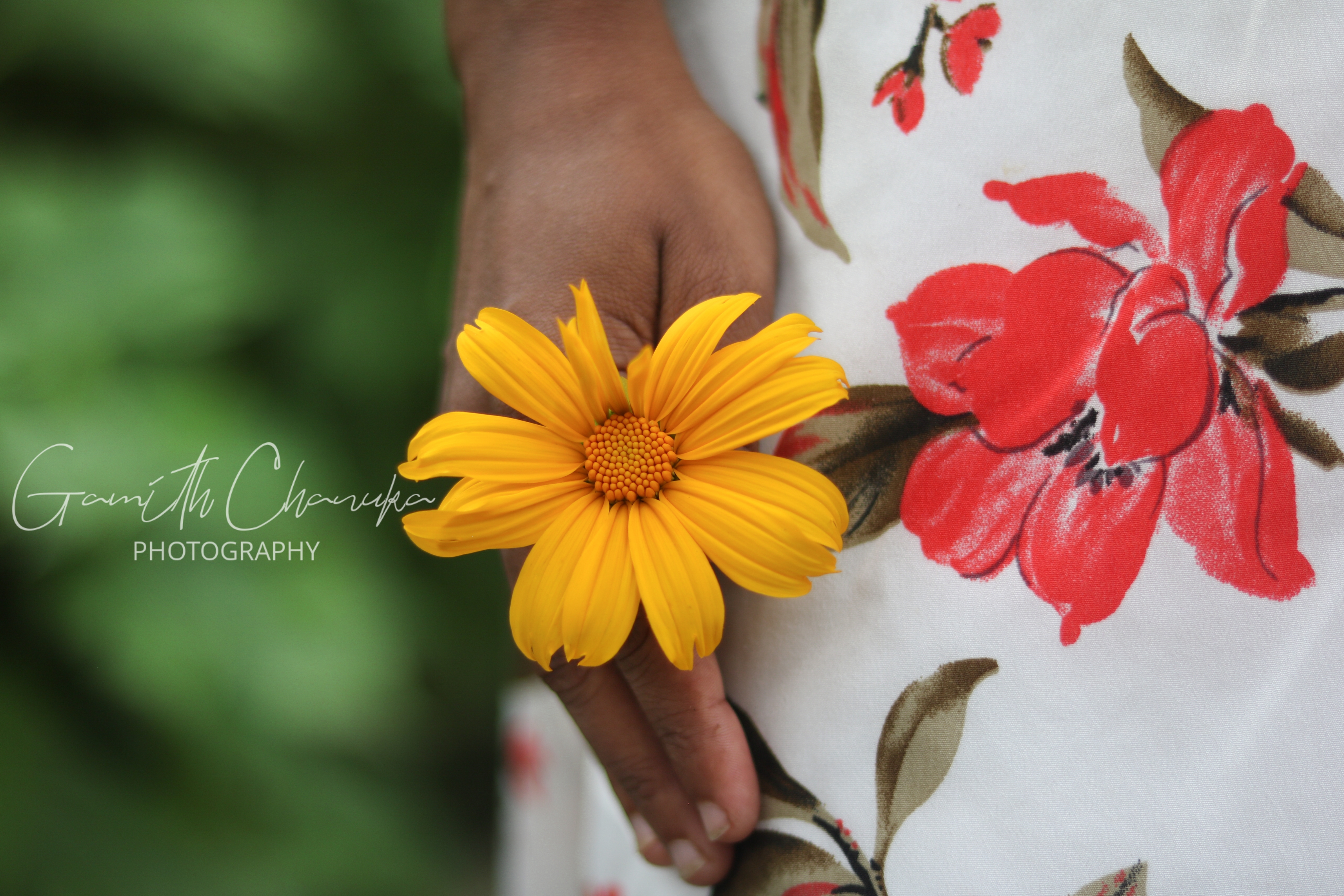 Expressing Human Emotions